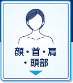 顔・首・肩・頭部