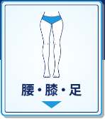 腰・膝・足