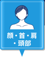 顔・首・肩・頭部