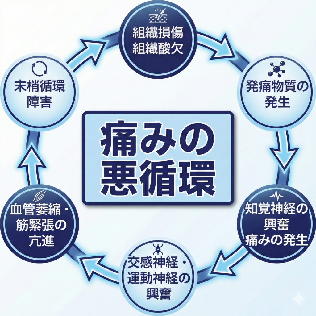 痛みの悪循環の仕組み